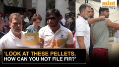 Delhi Police registers FIR in pellet guns case during CJP protest