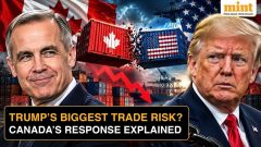 Canada imposes retaliatory tariffs on US goods from Sep 8