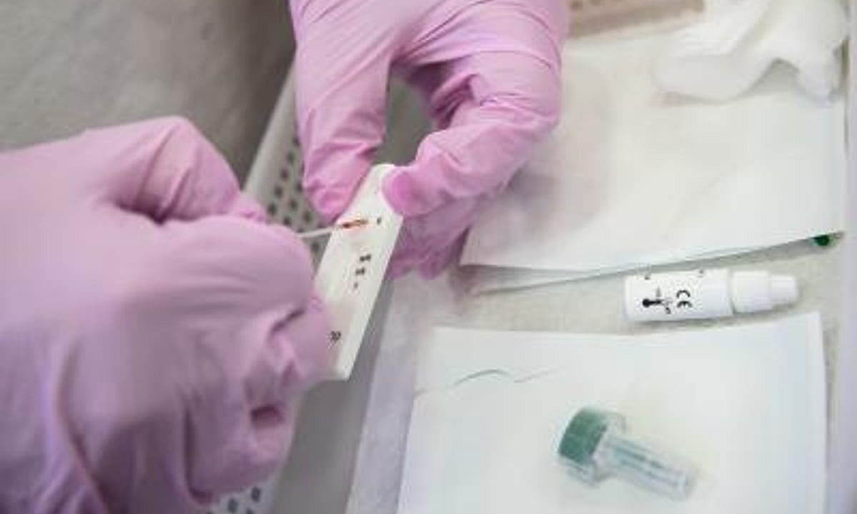 Scientists identify biological circuit behind ‘Titan cells’ of deadly fungus