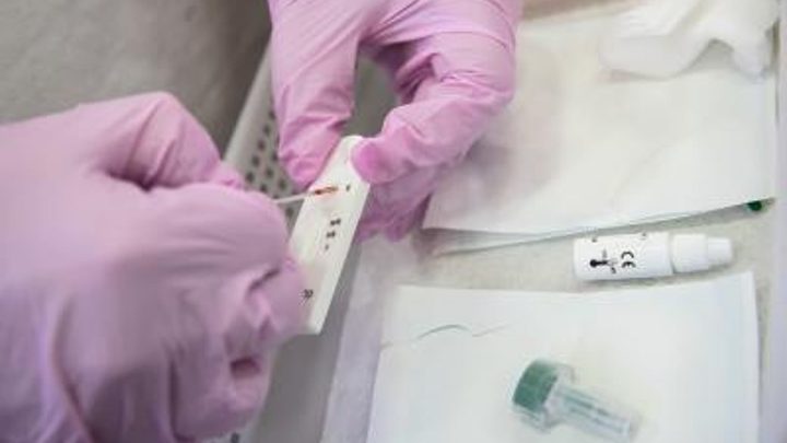 Scientists identify biological circuit behind ‘Titan cells’ of deadly fungus