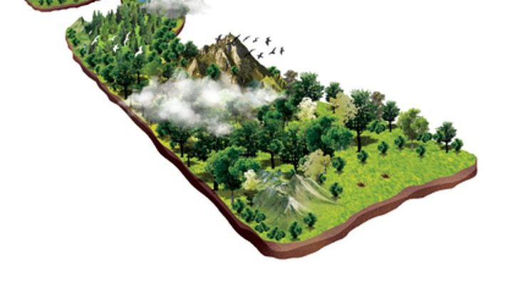 Himachal forest department, ISB sign MoU to tap Rs 22,600 crore forest economy potential