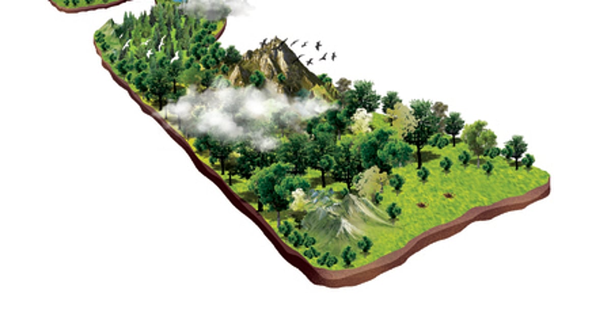 Himachal forest department, ISB sign MoU to tap Rs 22,600 crore forest economy potential