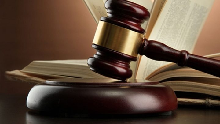 Erode trader gets anticipatory bail in gibbon case