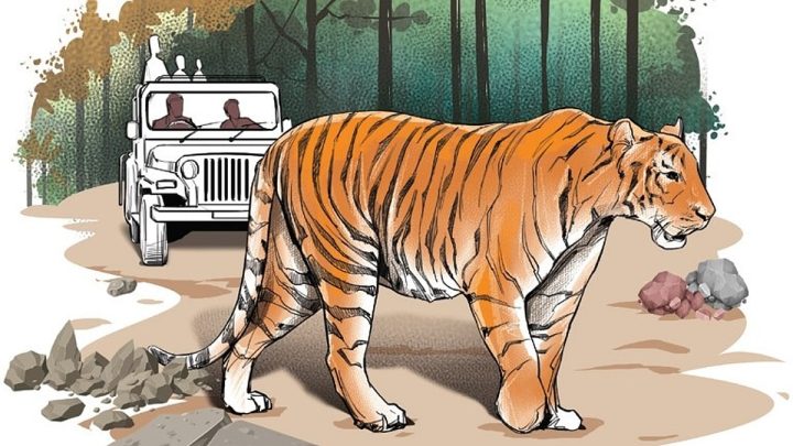Man killed in suspected tiger attack near Gudalur; second such death in O-Valley this month
