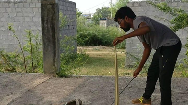 Snake rescue in Madhya Pradesh set to be just a touch away with new dedicated app SHIVAA