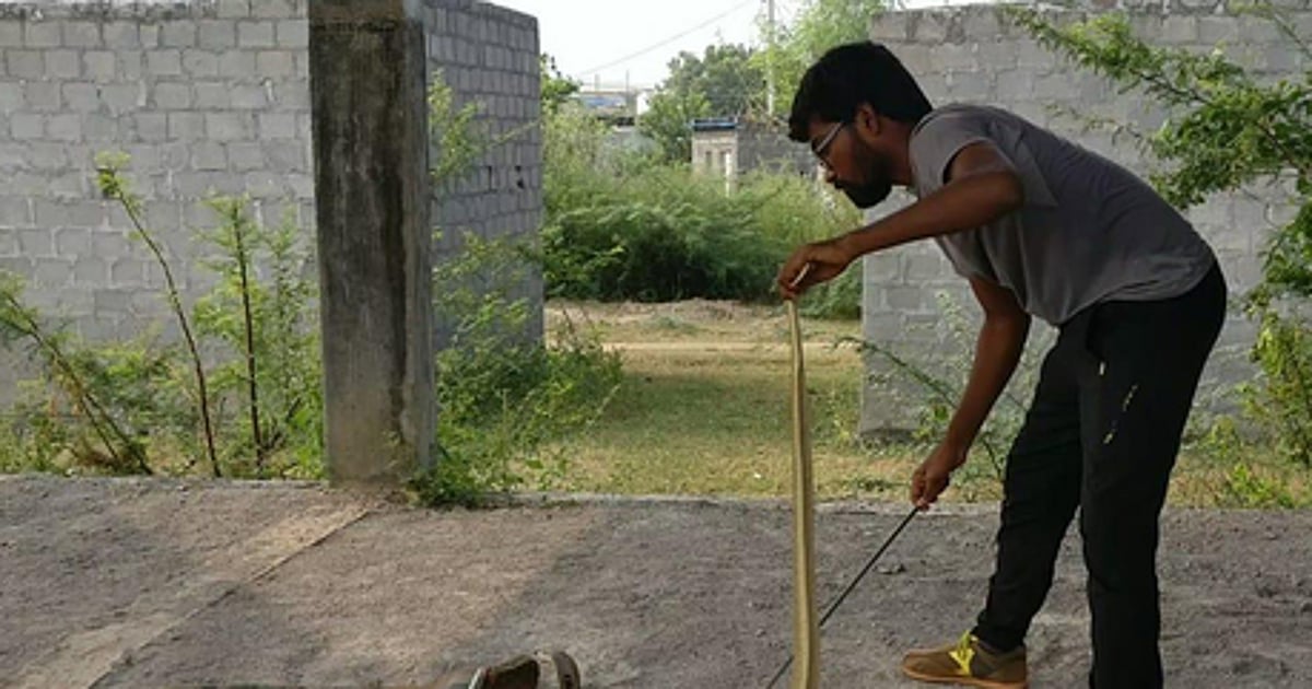 Snake rescue in Madhya Pradesh set to be just a touch away with new dedicated app SHIVAA