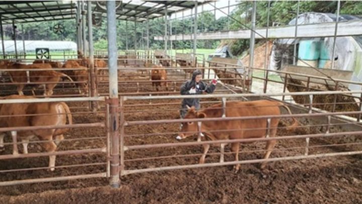 Digital record, penalties in new rules for contagious diseases in animals