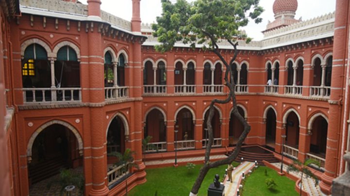 High Court stays Tamil Nadu law allowing felling of rosewood trees