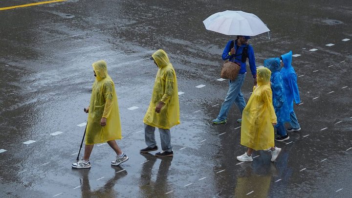 Heavy rain disrupts Dehradun; 97 roads blocked, schools shut