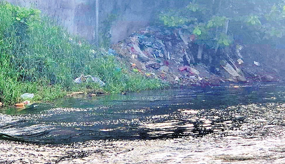 Waste threat looms over Veli-Kadinamkulam boat service