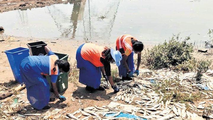 Ennore fishermen stay off river, seek compensation in Chennai