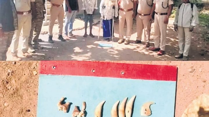 Five poaching cases recorded in 30 days in Karnataka