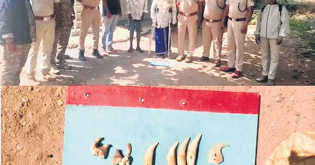 Five poaching cases recorded in 30 days in Karnataka