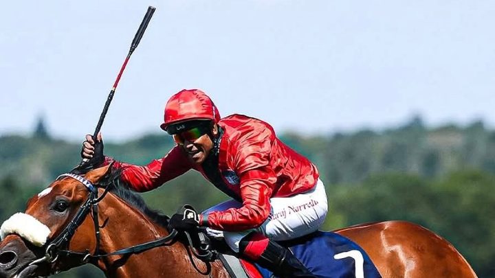 B'luru-based top jockey Suraj Narredu reflects on his career and the city's struggling racing scene