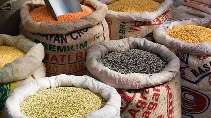 Legumes, Pulses, Dals and Whole Grams: Understanding the Key Differences