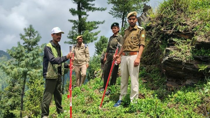 Locals use hazardous pesticide to grow off-season peas in Himachal Pradesh, claim environmentalists