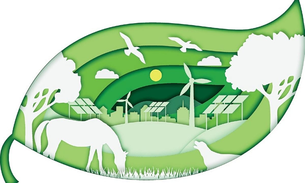Chennai Corporation plans eco-restoration of two ponds in Vyasarpadi, floats tenders