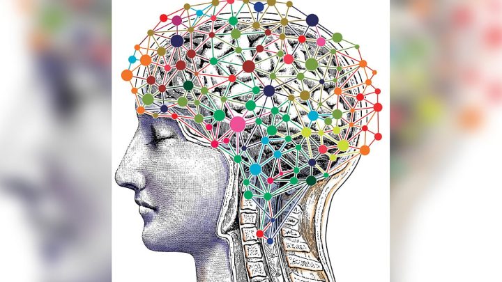 A ‘brainwave’ in stress fires fresh study