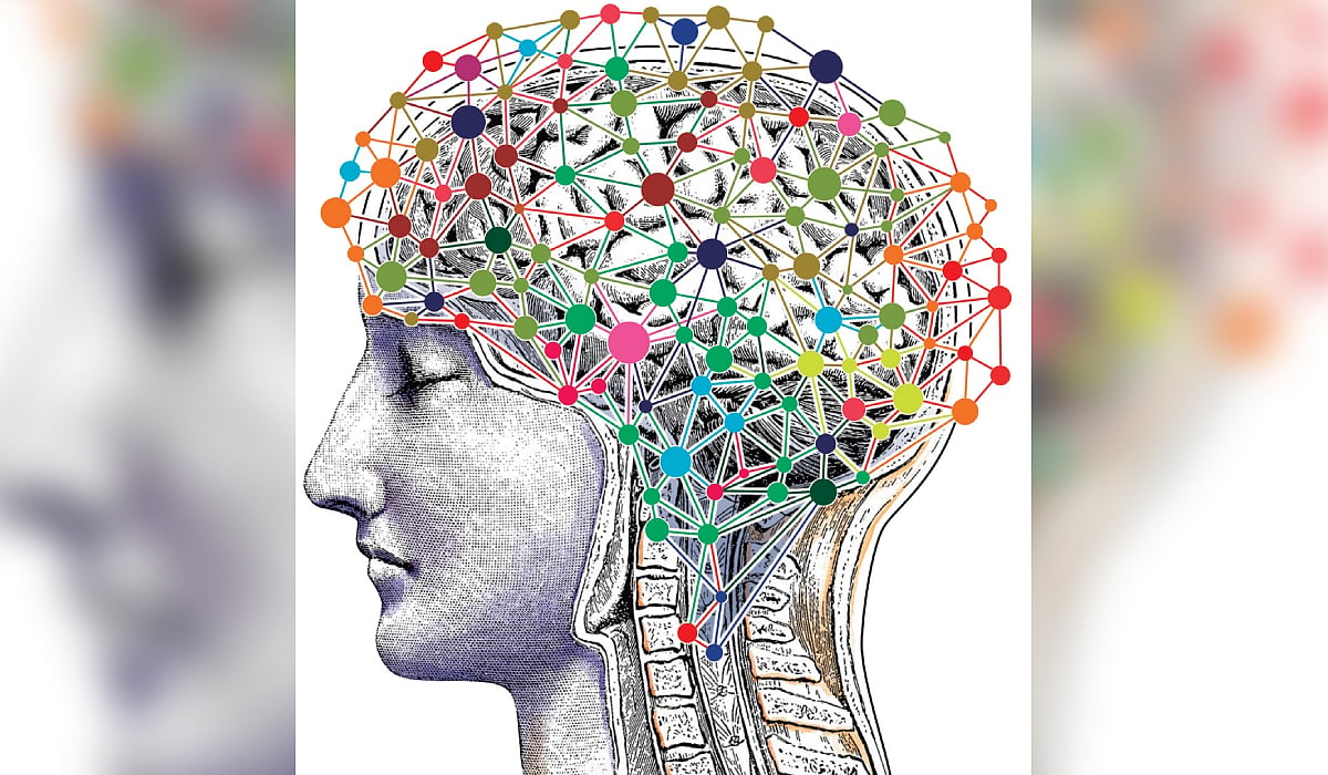 A ‘brainwave’ in stress fires fresh study