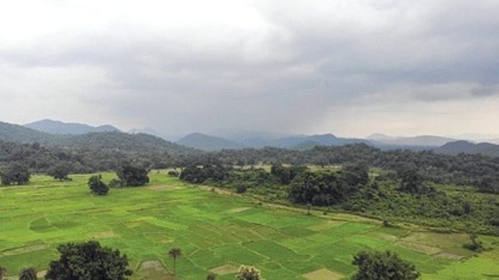 Odisha government set up high-level inquiry committee to probe village relocation process in Satkosia