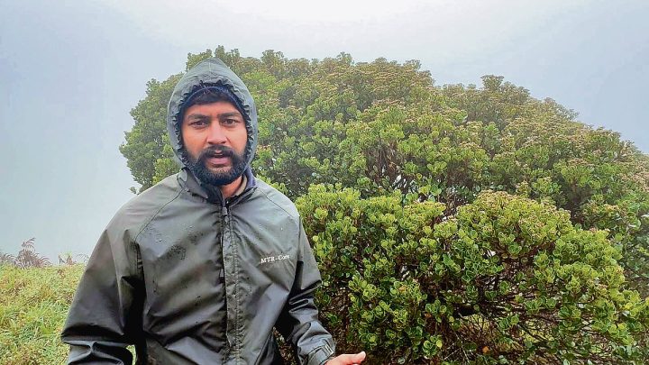 Where did the 'endangered' Nilgiri wild jamun disappear