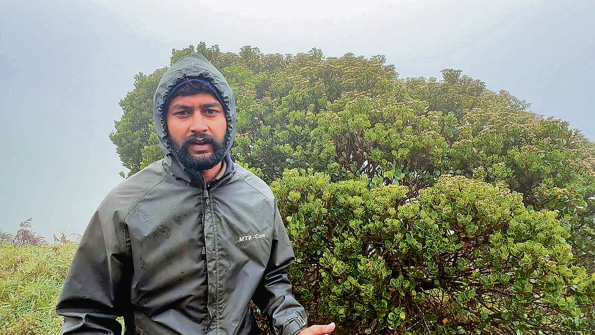 Where did the 'endangered' Nilgiri wild jamun disappear