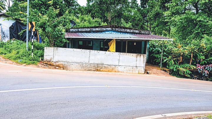 Fear of ‘gatecrashing’ vehicles keeps Kerala family on edge as Neelakurinji season arrives
