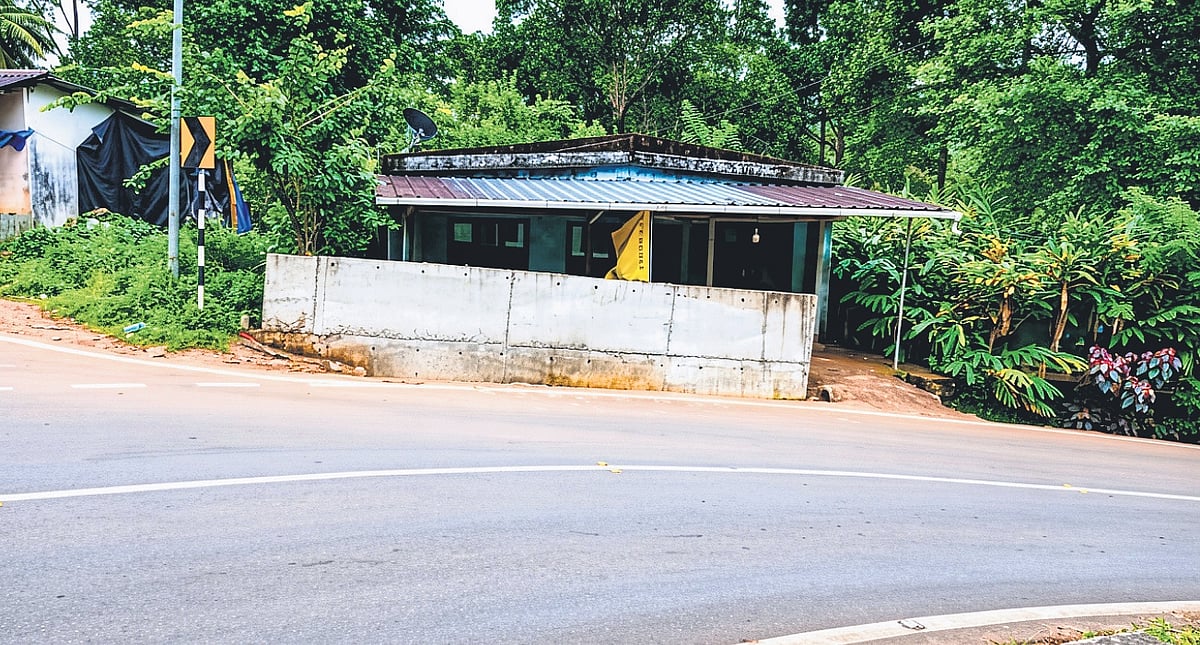 Fear of ‘gatecrashing’ vehicles keeps Kerala family on edge as Neelakurinji season arrives