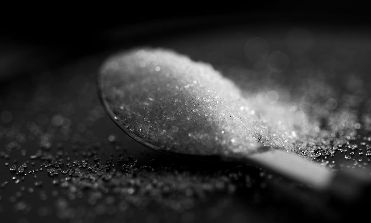 Centre rejects ethanol diversion link to sugar price rise, warns mills against profiteering