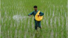 حکومت کا آئی ایم ایف کو منانے کیلئے کاشتکاروں پر انکم ٹیکس لگانے …