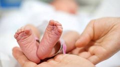کراچی کے جناح اسپتال میں مبینہ غفلت اور لاپرواہی کی وجہ سے خاتون …