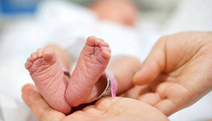 کراچی کے جناح اسپتال میں مبینہ غفلت اور لاپرواہی کی وجہ سے خاتون …
