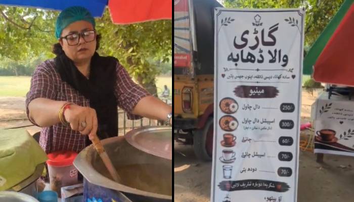 حبیب جالب کی صاحبزادی کے ریڑھی لگانے کا معاملہ، وائرل ویڈیو کے باوجود پنجاب حکومت خاموش