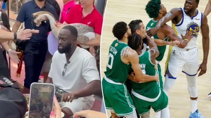 Sneaky goose leaves Warriors tough guy Draymond Green running scared: ‘Oh sh–‘