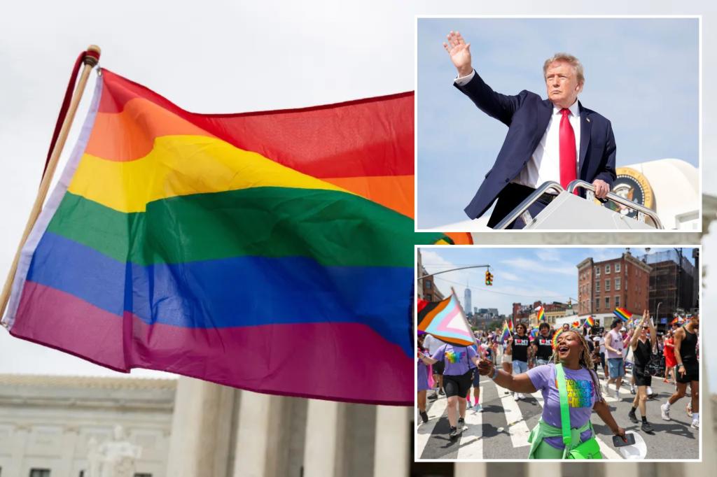 Log Cabin Republicans vote to scrap transgender issues: ‘We are an LGB organization’ 