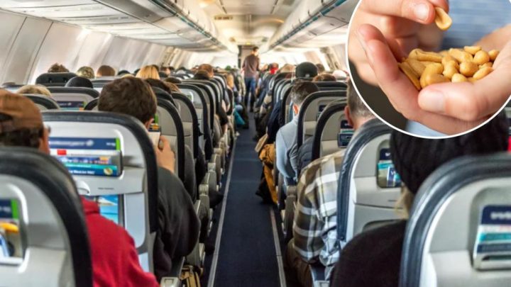 New hypoallergenic peanuts could bring the salty snacks back to airplanes and school cafeterias