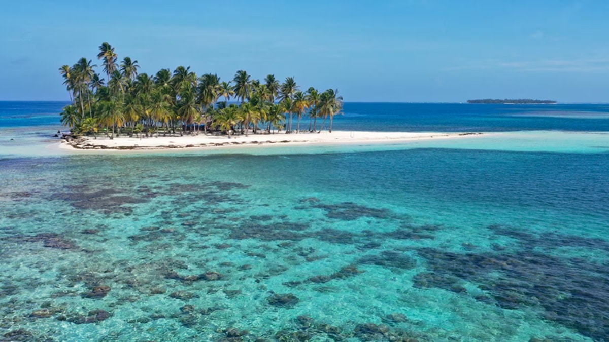 World’s Oceans Hit Highest Temperature Ever Recorded