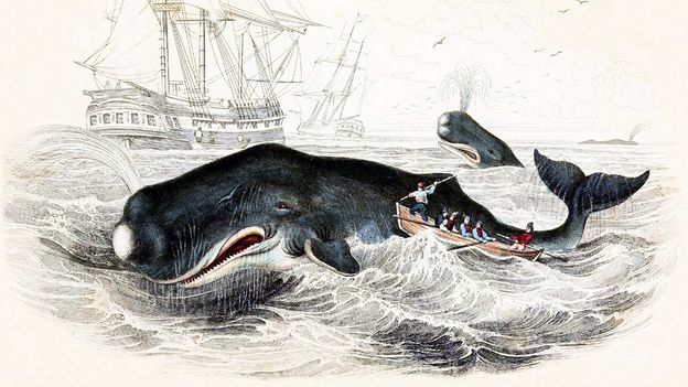Moby Dick: The 19th-Century novel that challenged our fear of the whaleNow 175 years old, US author Herman Melville's classic is the ultimate tale of man vs whale – but in fact, it questions why humans have been so terrified of these great sea creatures.
