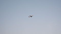 Eight dead as chartered plane crashes in Alaska