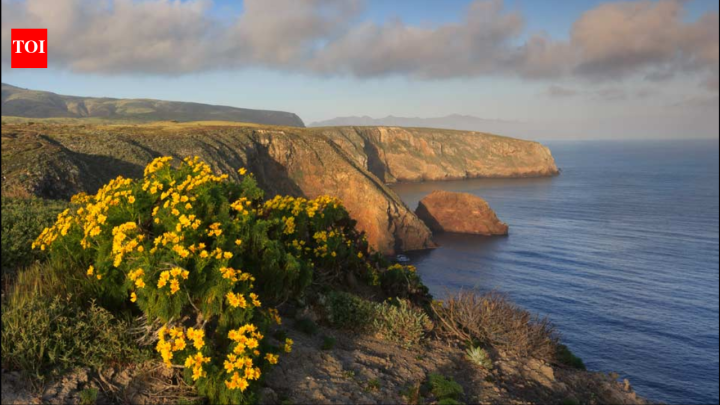 US seized California island ranch after $4m offer; jury awarded family $12.7m