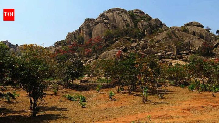 India rock dated to 3.4 billion years may preserve Earth's oldest life signs