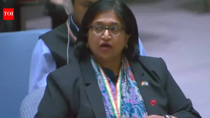 India‘Must not be used to legitimise terrorists’: India seeks transparency in UNSC