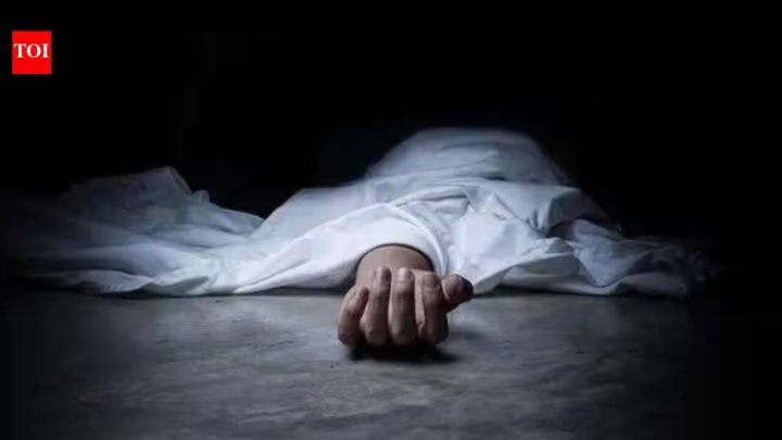 IndiaIndian national dies in Israel; suspect arrested, Embassy says probe under way