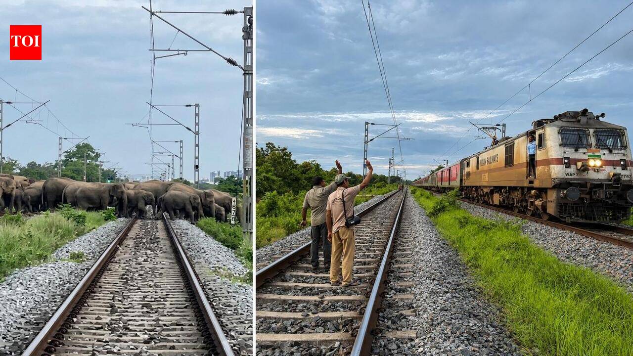 GuwahatiRajdhani waits as 90 jumbos cross rail tracks