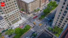 Manhattan replants Broadway medians with native species for birds and bees