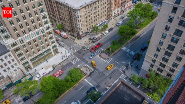 Manhattan replants Broadway medians with native species for birds and bees