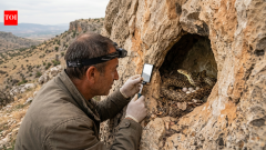 ScienceScientists checked 109 owl nests in Turkey and found live snakes in 44%