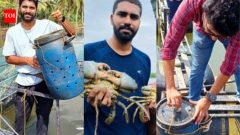 ScienceKochi postgraduates bag Rs 10 lakh grant for startup making inland mud-crab farming easier