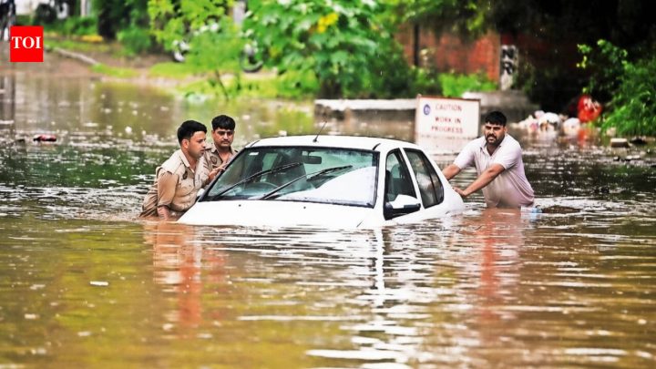 ChandigarhChandigarh was built as a planned city. So why does it keep sinking in the rain?