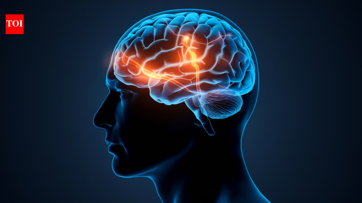 Human brains usually decay first; some survived 12,000 years. Here's how